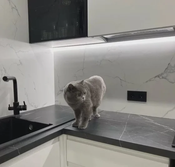 Кухня на заказ